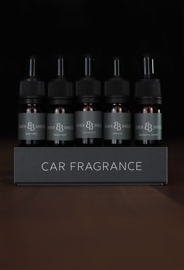 Why does my car stink? Causes of bad odors and how to get rid of them for good!