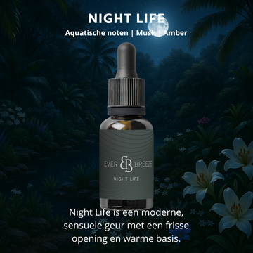 Autoparfum - Night life