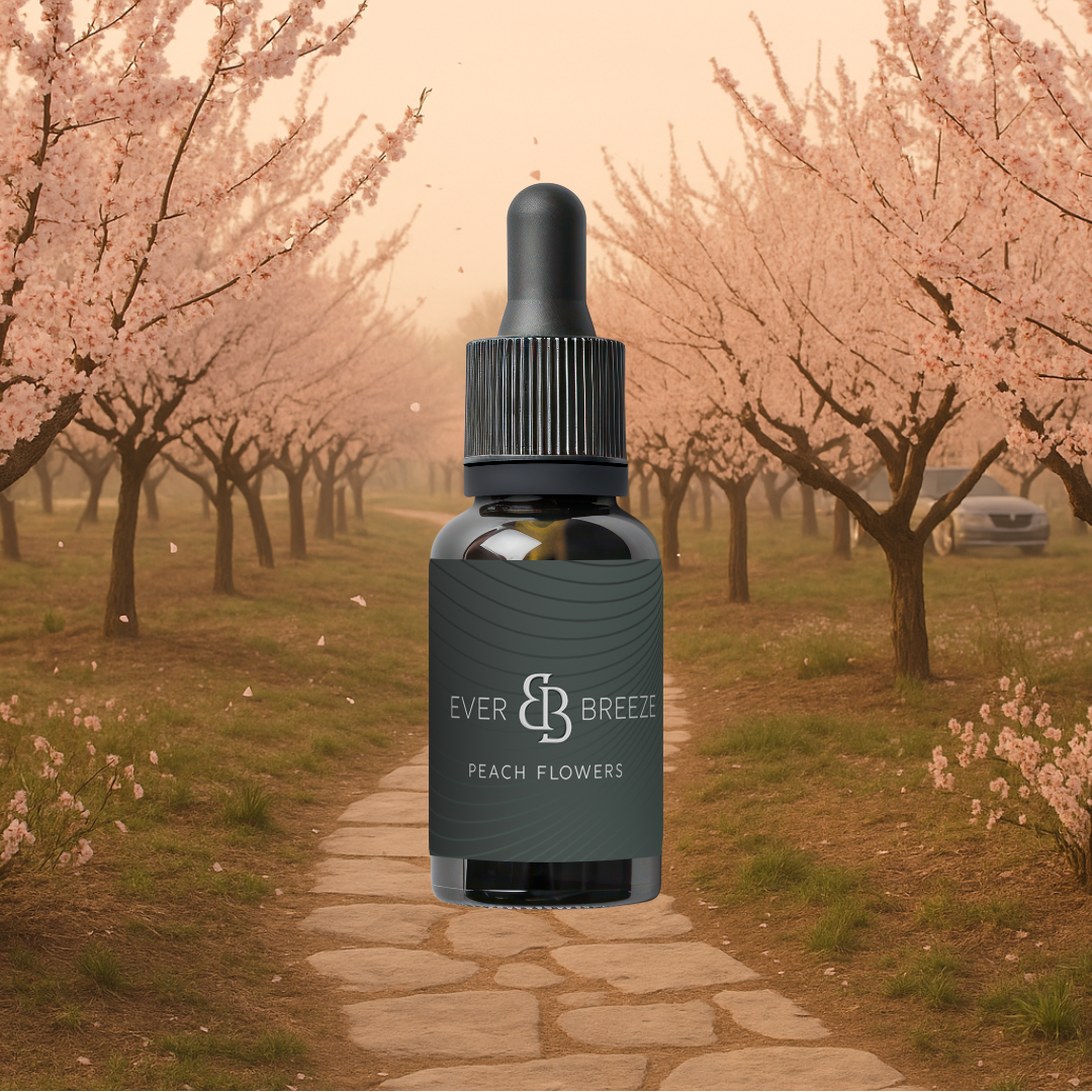 Carperfume - Promopack